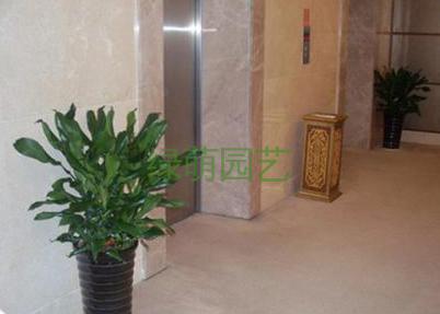 菲律宾铁