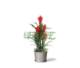鸿运当头
