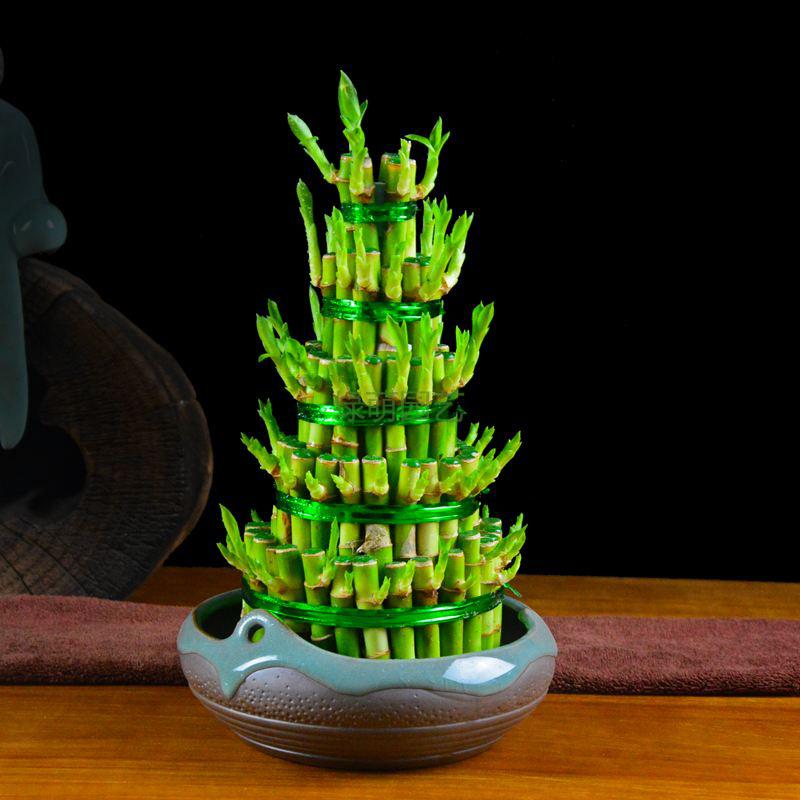 节节高